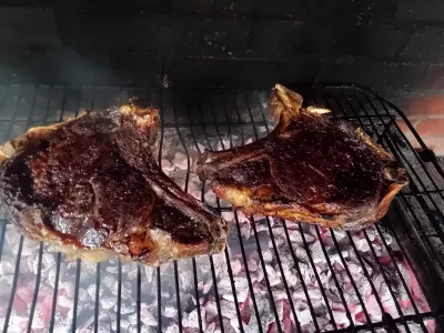 Barbecue/grillade